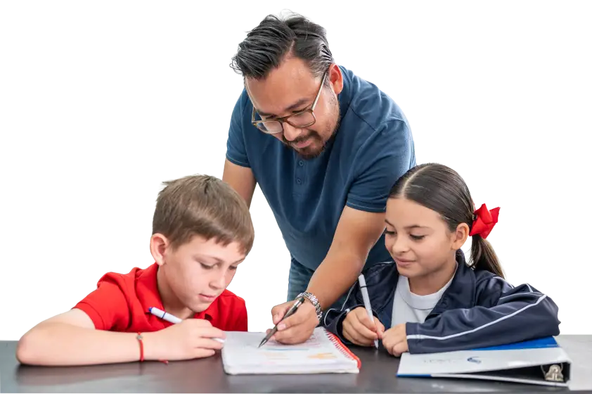 enseñanza docente
